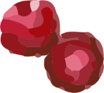 Illustration of redberries